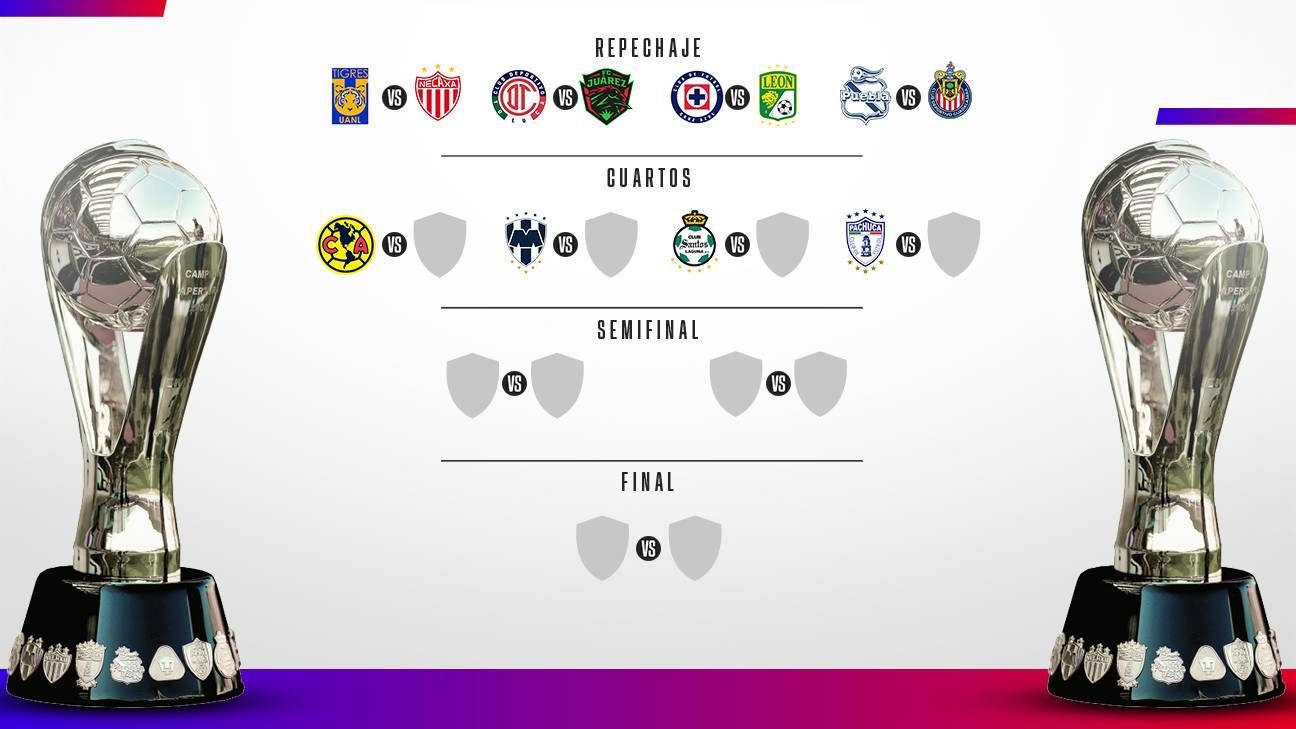 Nuevo formato de repechaje : r/LigaMX