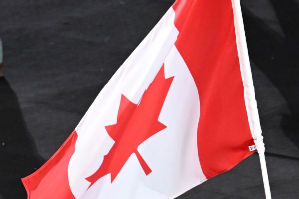 New Hockey Canada board asked to fix image