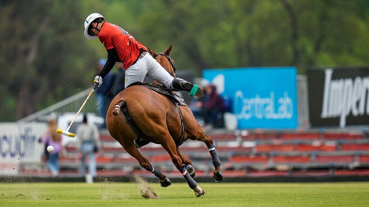 LA IRENITA 13 8 LA IRENITA II Las mejores fotos de La Irenita v La