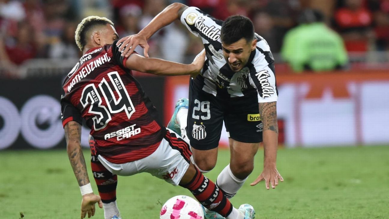 Com lances polêmicos e gols, Flamengo vence o Santos antes da