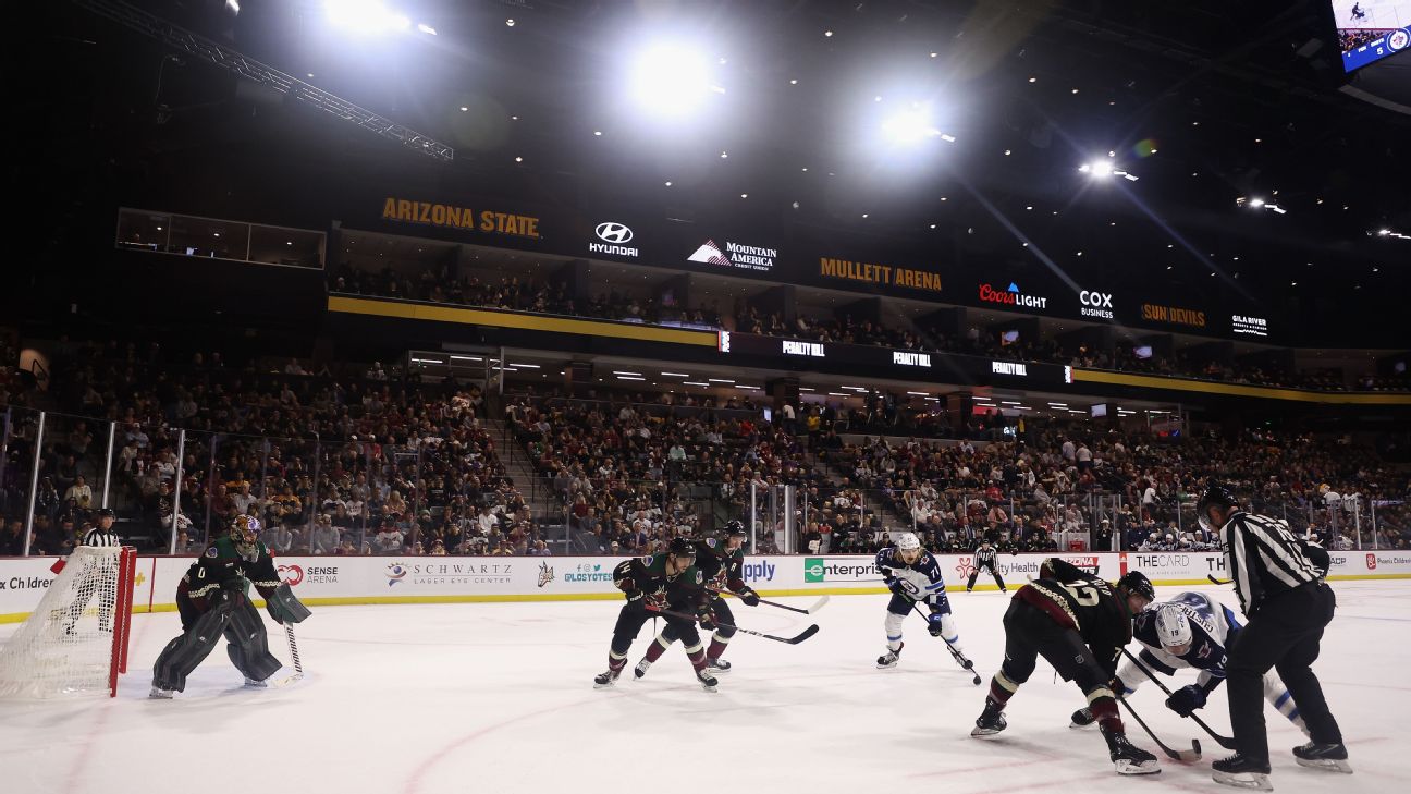 NHL terribly disappointed after Tempe voters vote down arena for Arizona  Coyotes