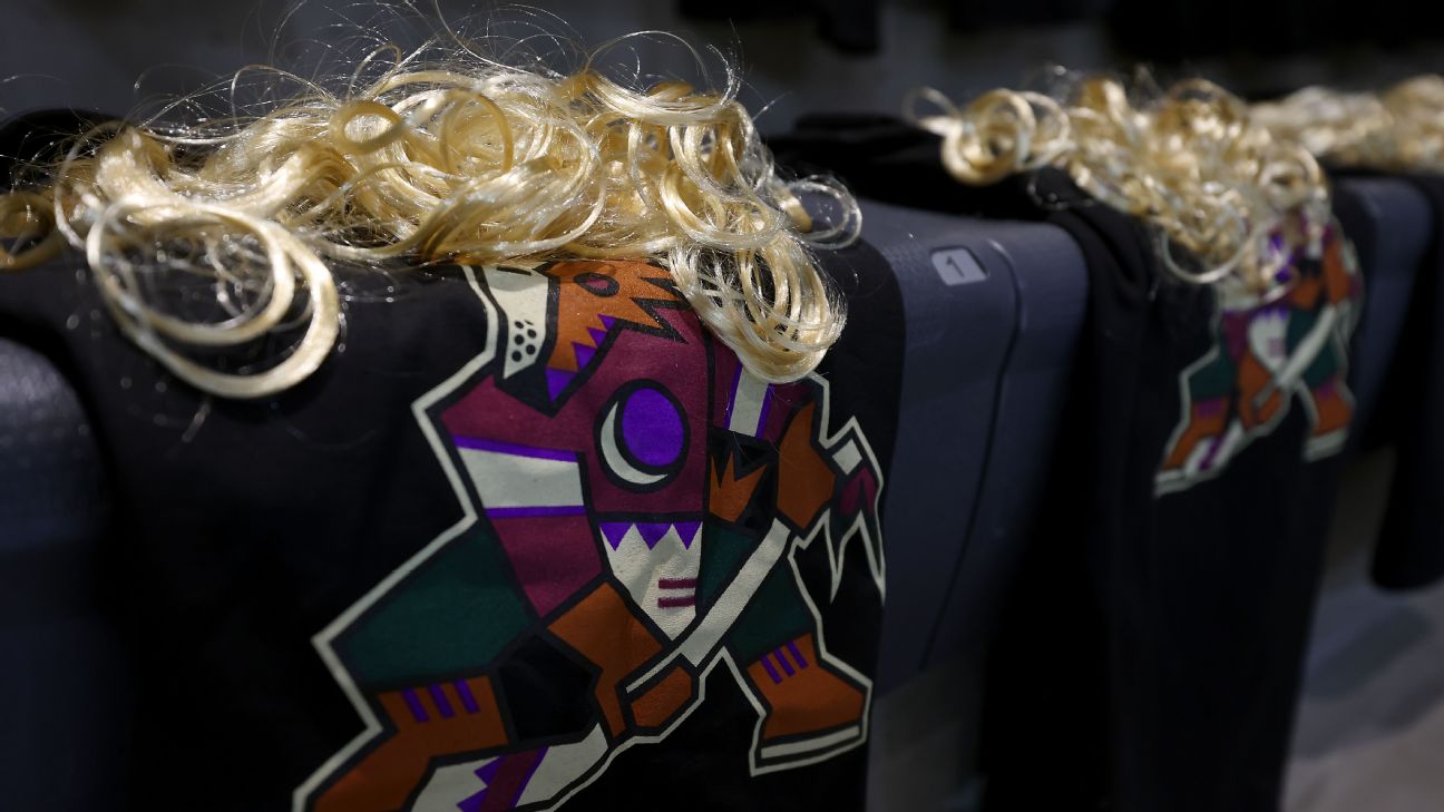The Arizona Coyotes are giving away mullet wigs to fans attending