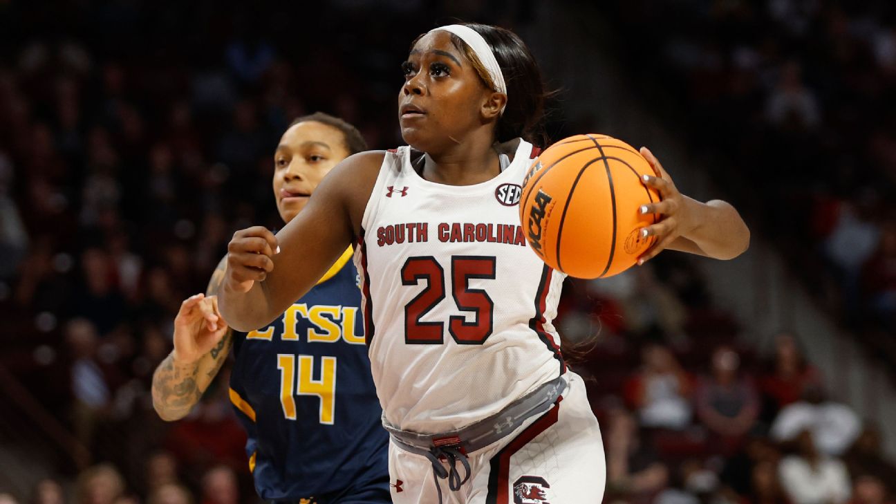 NCAA women's basketball transfer portal: How did LSU, South Carolina and  Louisville fare? - The Athletic