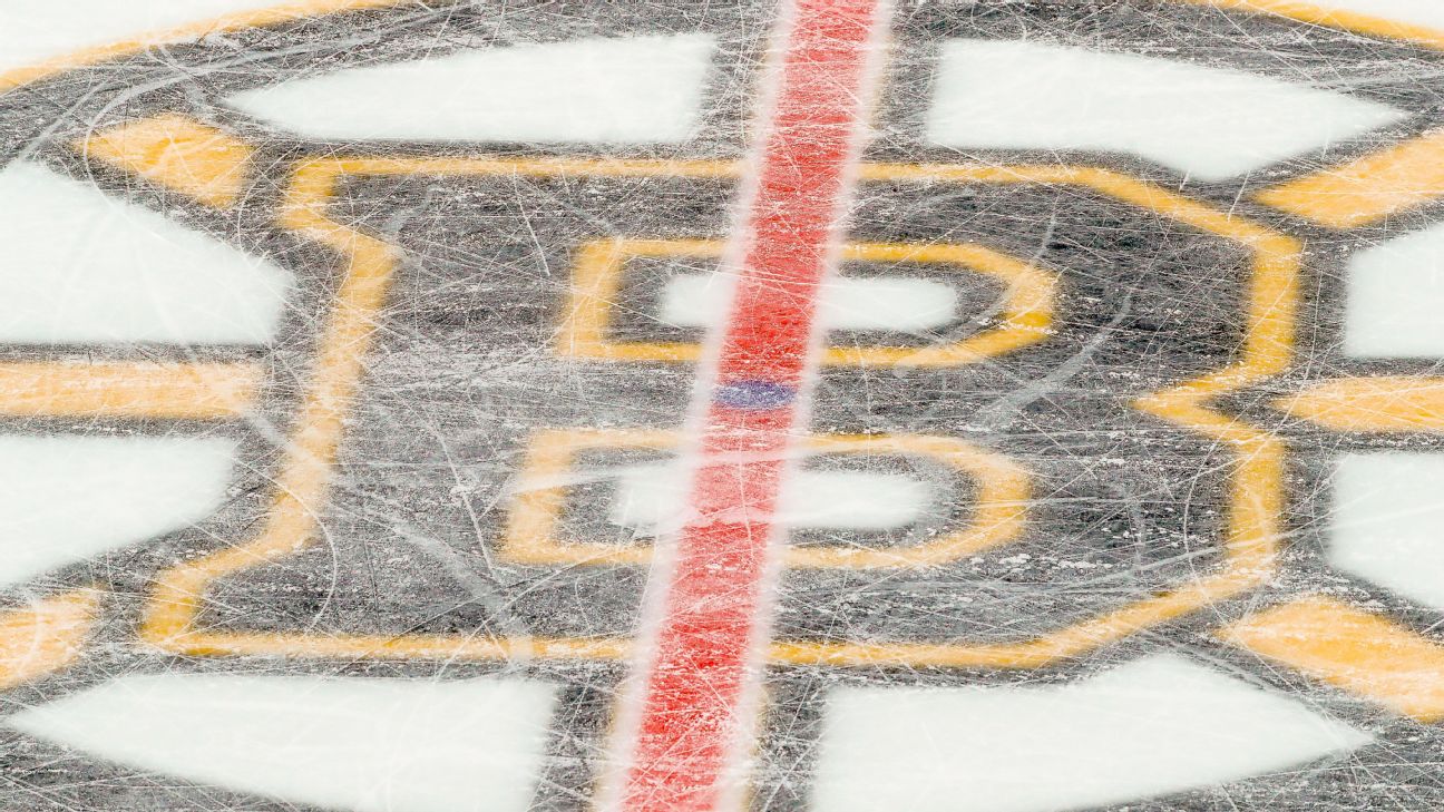 Bruins defenseman Shattenkirk fined for stick hit
