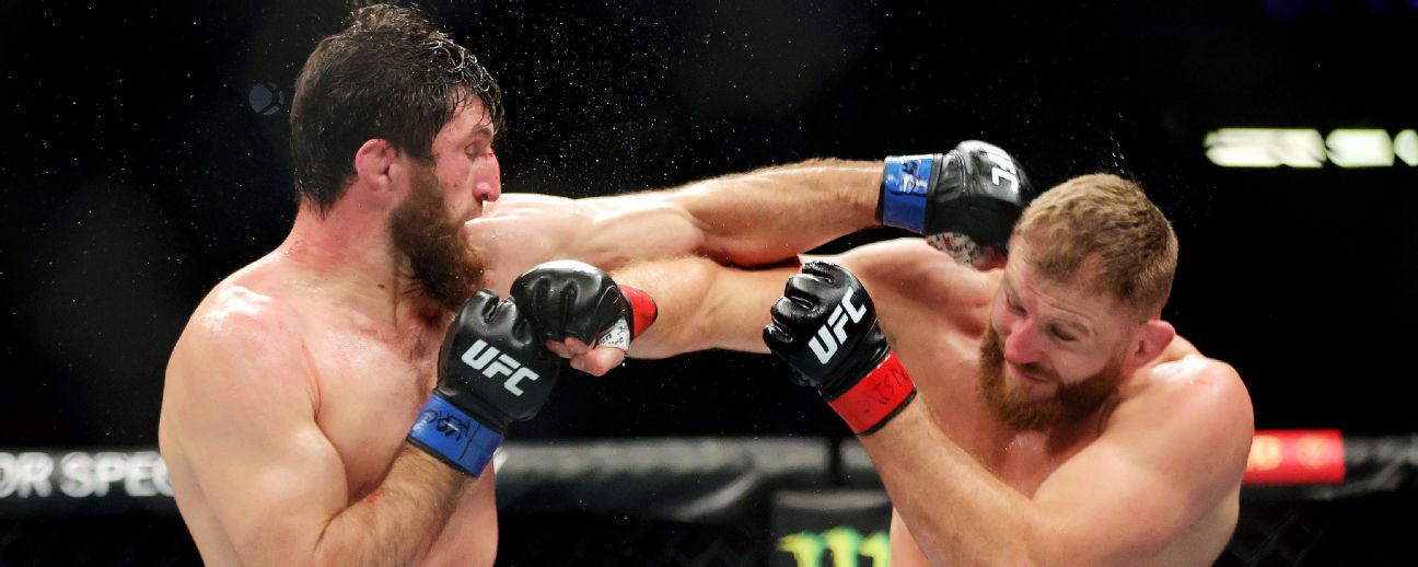 UFC 282: Blachowicz-Ankalaev ends in a draw, Paddy 'The Baddy' stays unbeaten