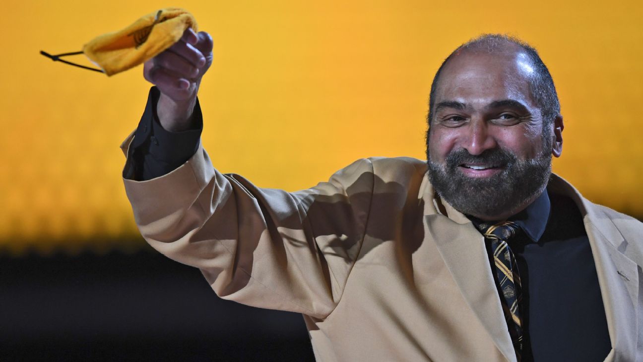 Bio - Franco Harris