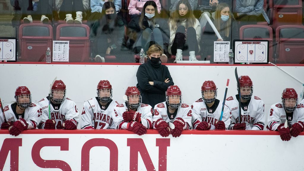 Harvard women's hockey coach Katey Stone accused of abusive behavior