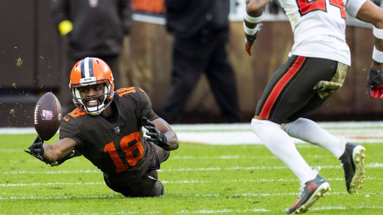 Browns 'Forgotten' WR David Bell Poised for Breakout Year