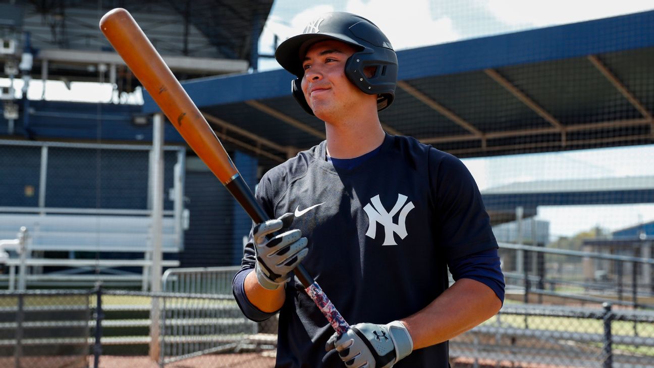 New York Yankees Top 30 prospects list 2023 preseason