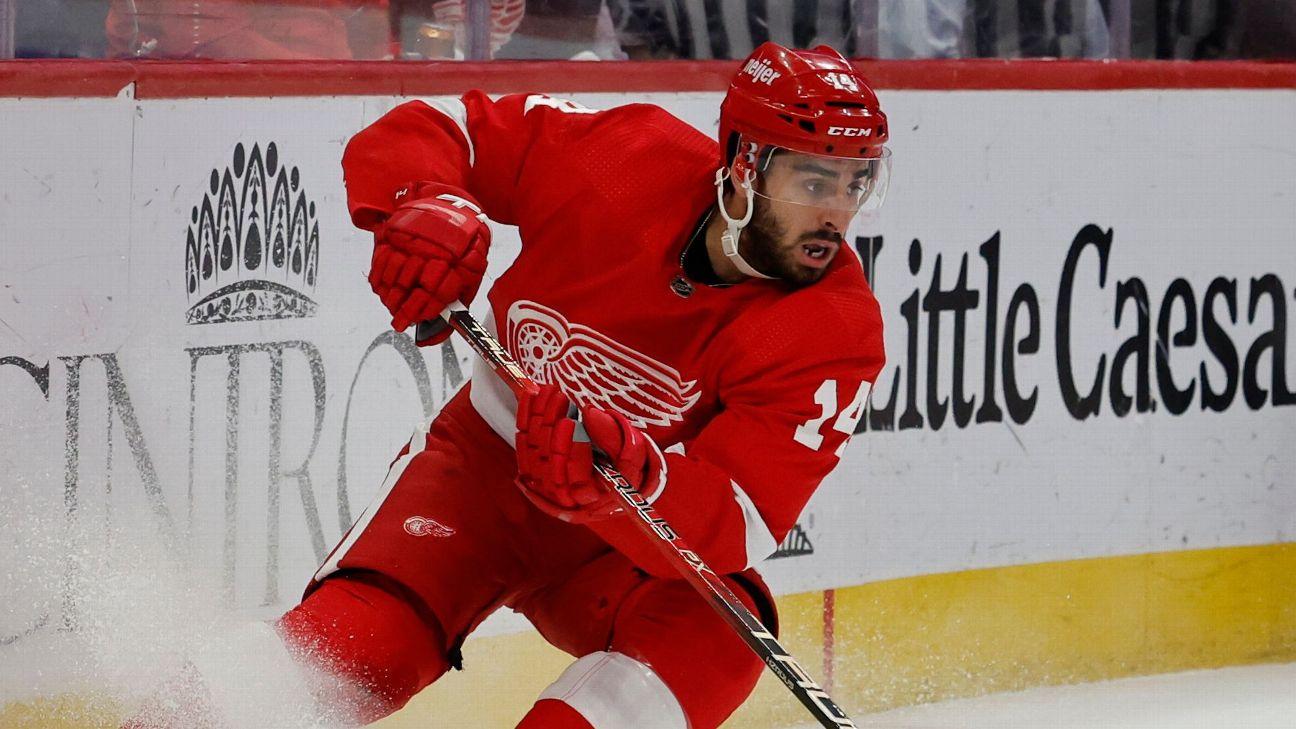 Red Wings' Fabbri to miss