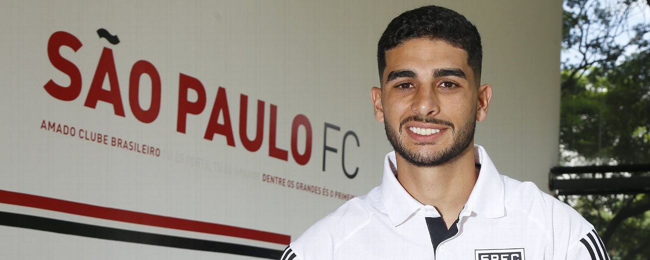 michel araujo