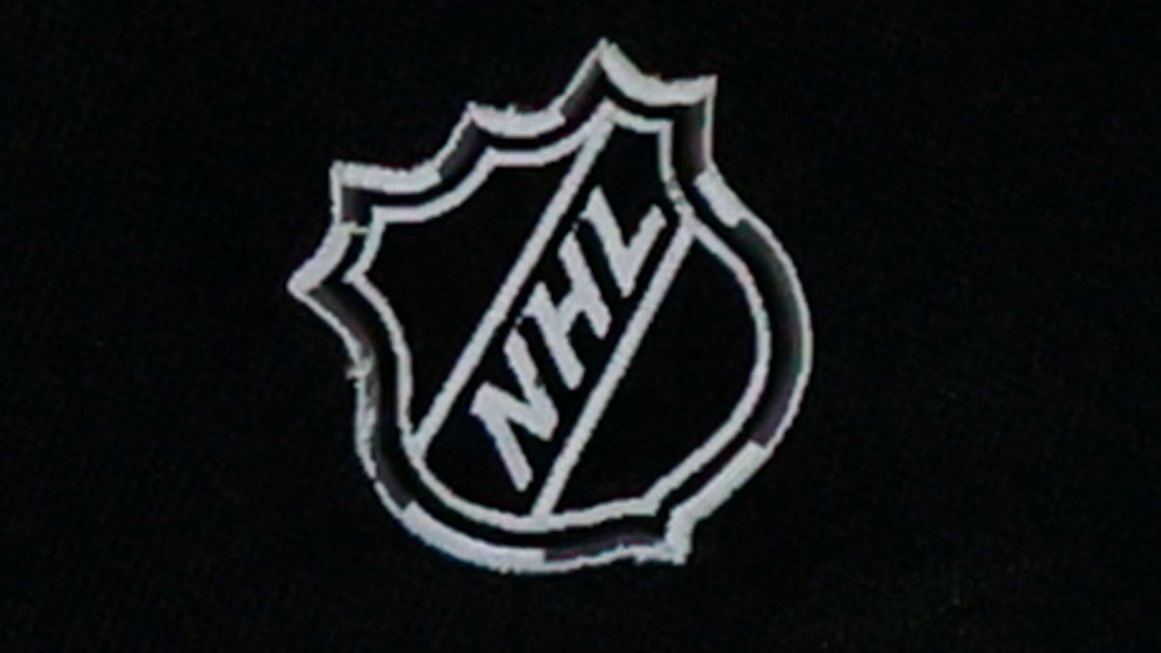  NHL Official National Hockey League Shield Logo Patch : Sports  & Outdoors