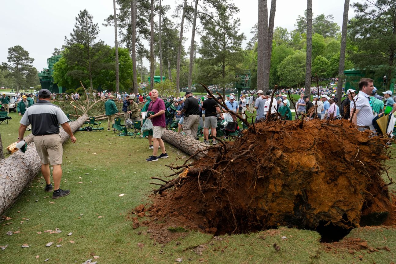 Tall pine trees fall near Masters fans; no injuries