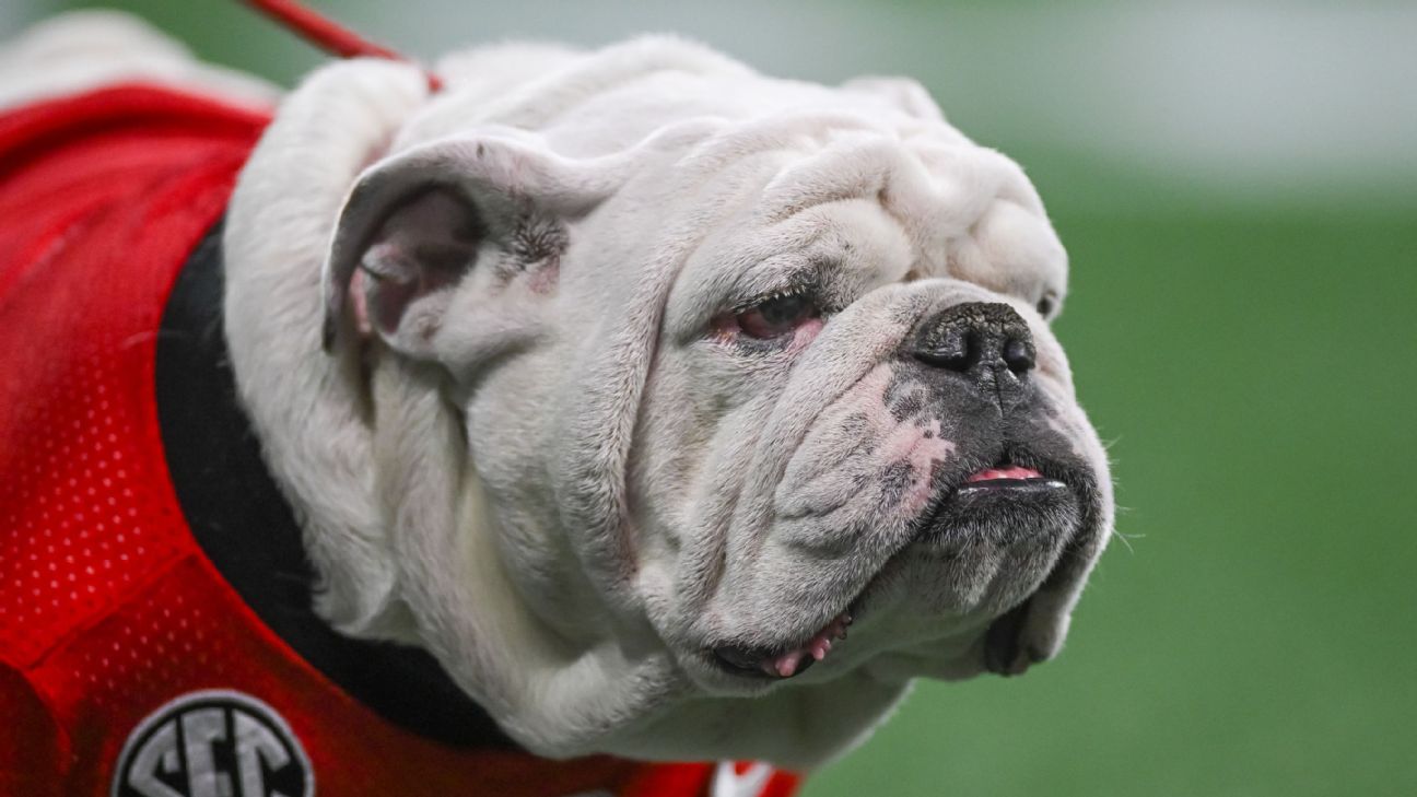 Bulldogs In The NFL - University of Georgia Athletics