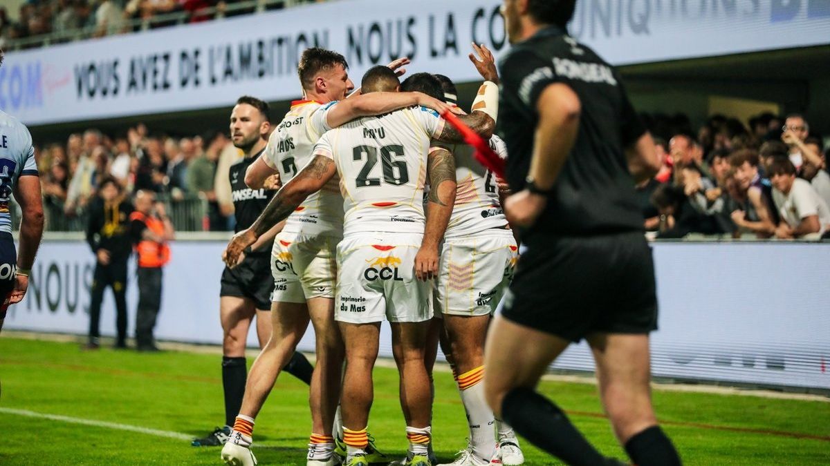 Touro invade campo durante partida de rugby na França; veja