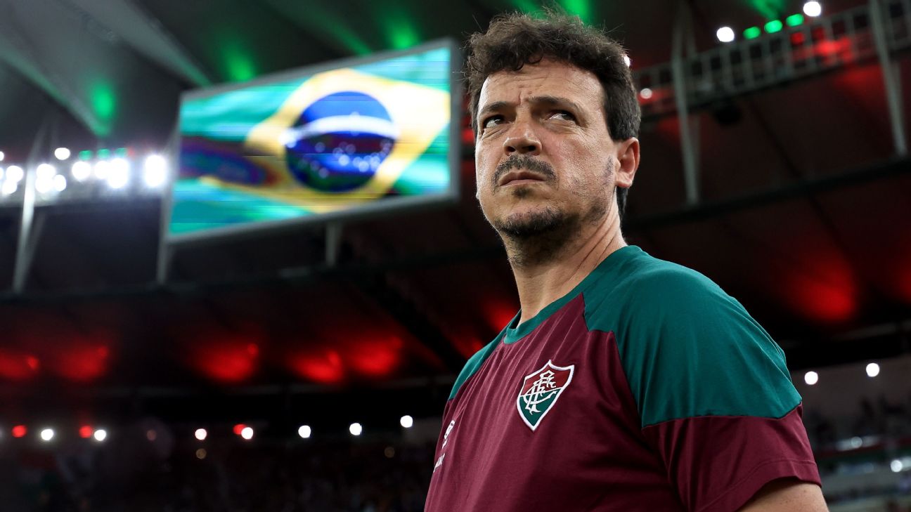 Sources: Brazil to name Diniz as interim coach