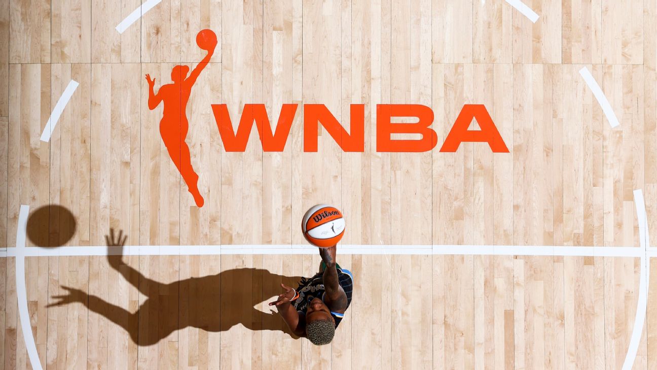 New heights  WNBA to provide full-time charters