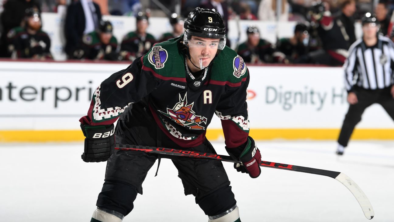 Arizona Coyotes will continue to evaluate all of our options