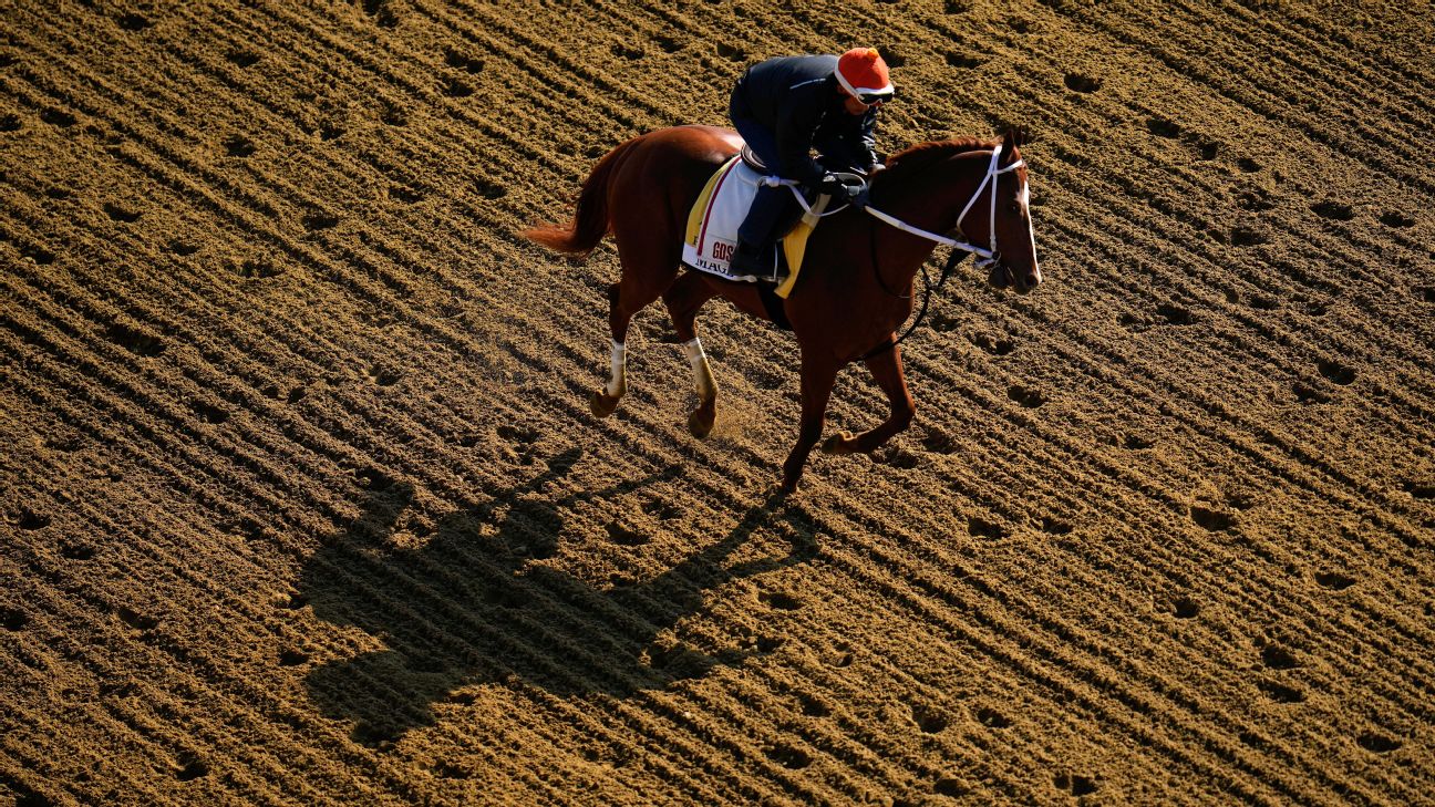 The 148th running of the Preakness Stakes