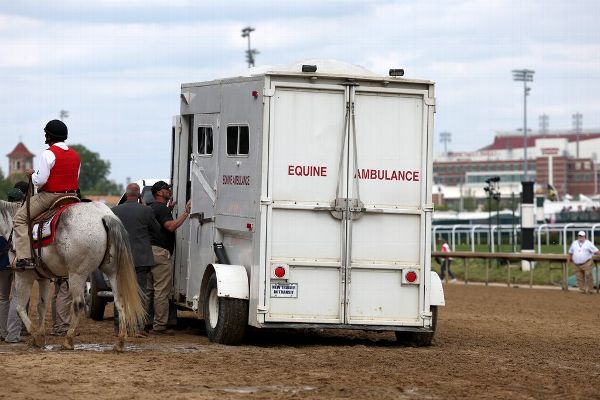 Horse dies at Churchill Downs, 9th since April 27