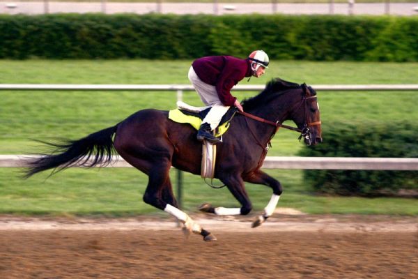 Fusaichi Pegasus, 2000 Derby winner, dies at 26