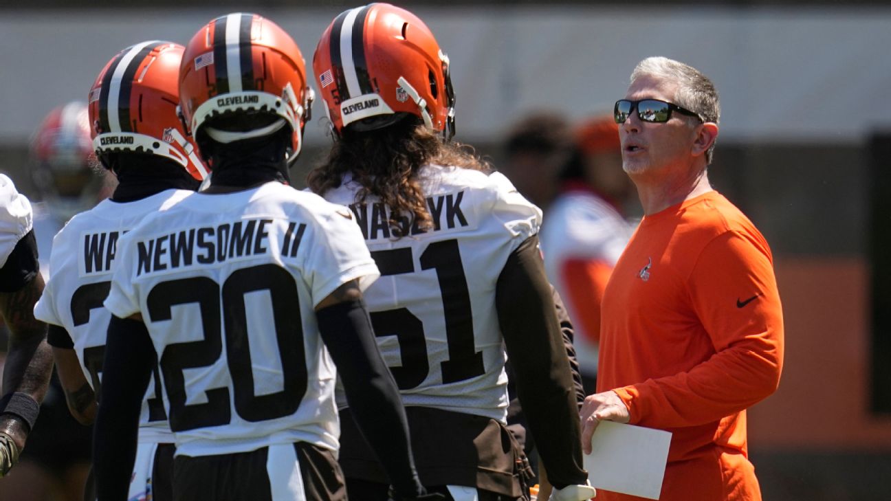 Browns DC Jim Schwartz making his presence felt - ESPN - Cleveland Browns  Blog- ESPN