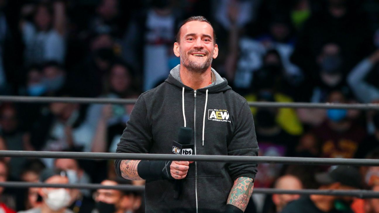 WWE Chose Not to Sign New AEW Star After Performance Center Tryout