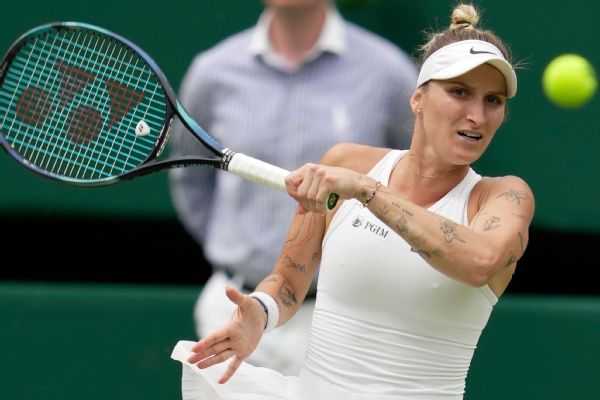 Unseeded Vondrousova rolls into Wimbledon final