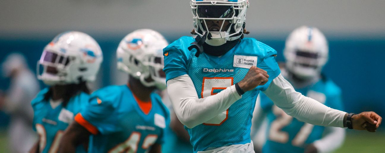 Miami Dolphins training camp 2022: Miami Dolphins defense