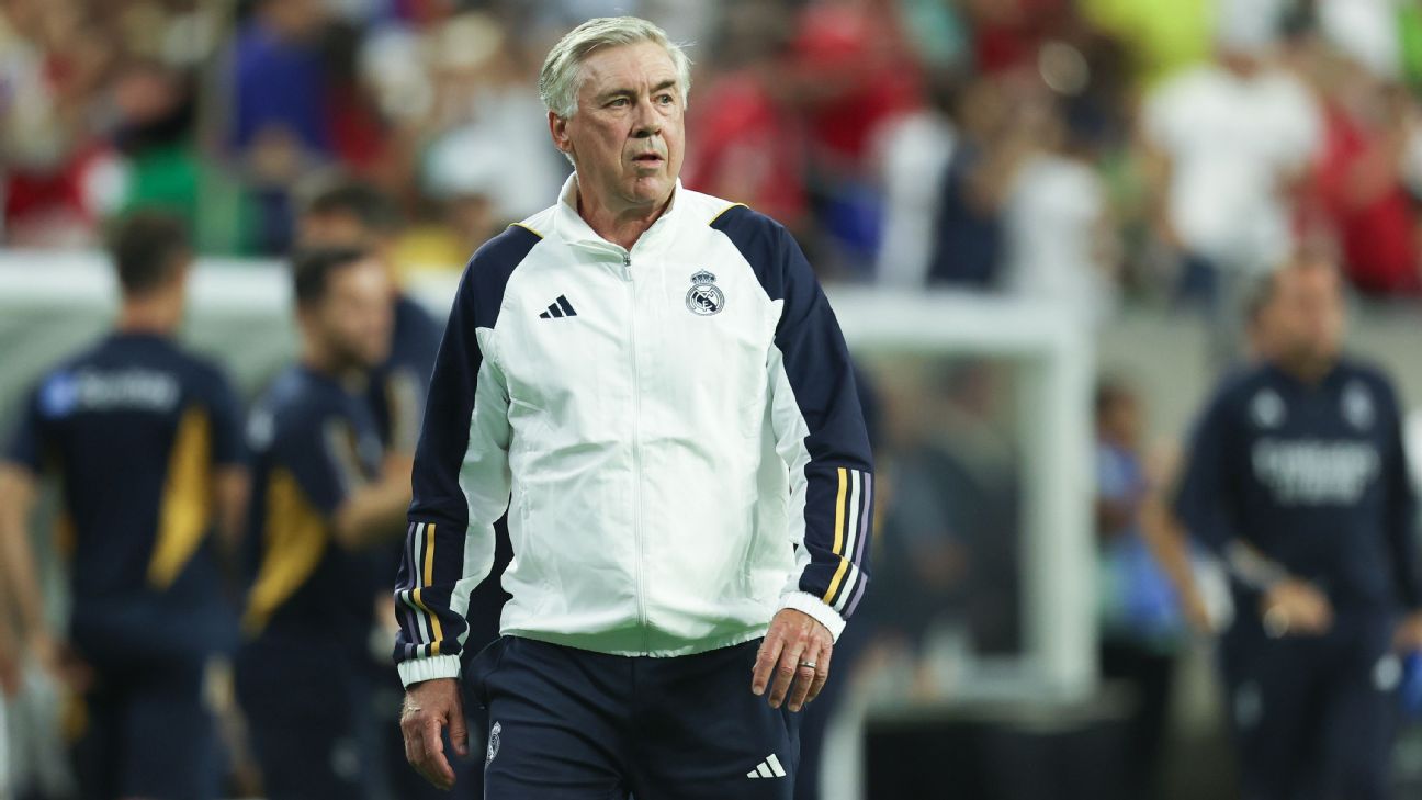 Real Madrid open to signing new GK - Ancelotti