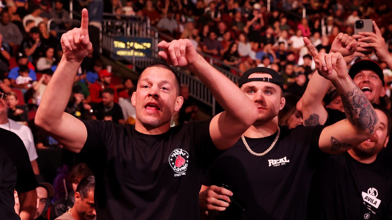 Punches thrown at faceoff before Paul-Diaz fight