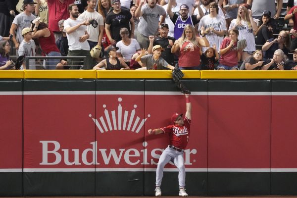 Fan-interference decision costs Pham possible HR