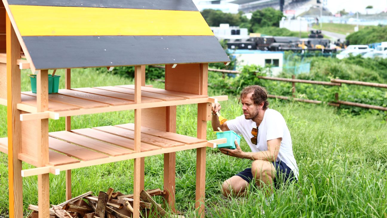 Sebastian Vettel builds 'insect hotels' at Suzuka as part of biodiversity campaign - ESPN