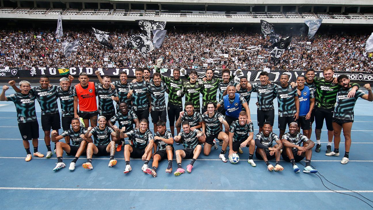 Contra o Goiás, Botafogo atingirá número histórico de público no Nilton  Santos em jogos pelo Brasileirão - Lance - R7 Futebol