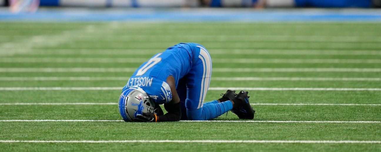 Detroit Lions - 