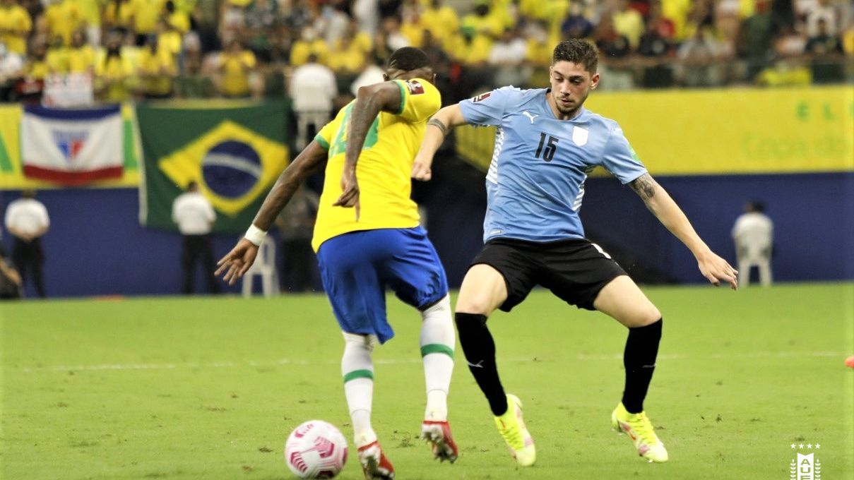 La LARGA racha que el Uruguay de Bielsa le rompió a Brasil en Eliminatorias  - TyC Sports