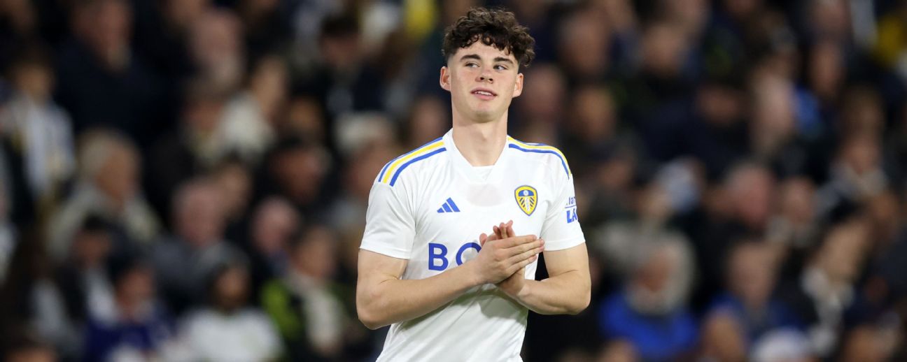 Cardiff City transfer news as Leeds United move offers Bluebirds