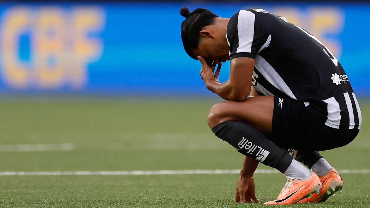 Brazil's Botafogo squanders a 13-point lead to lose national