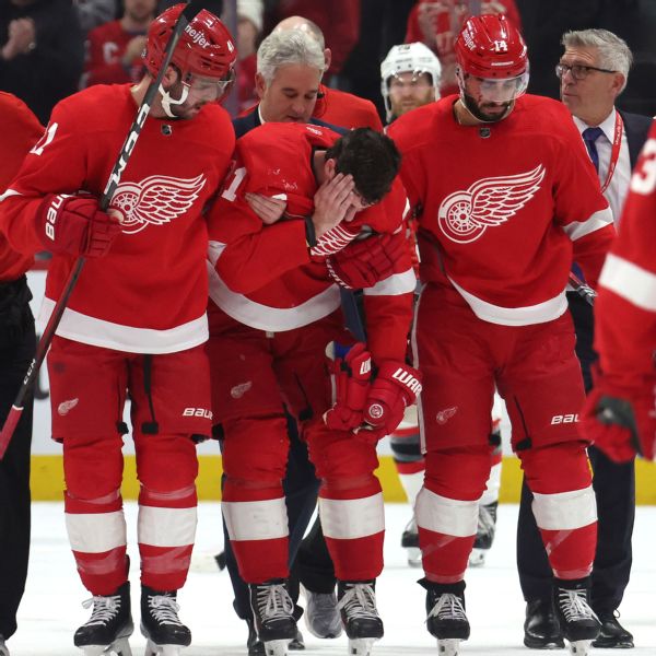 Red Wings' Larkin exits after cross-check to head