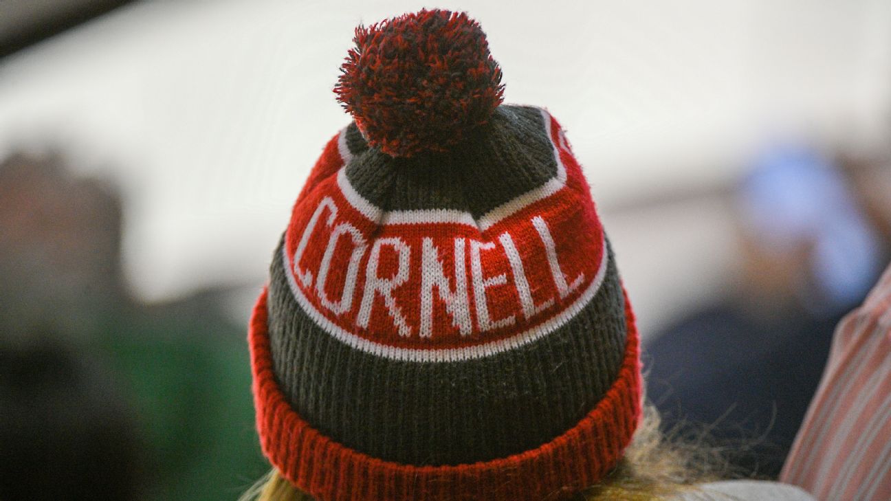 Cornell's Daniel is top women's D-I hockey player