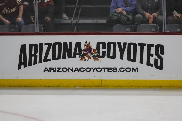 Reports: Alex Meruelo backing out of Coyotes' ownership