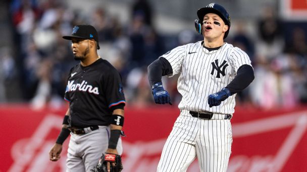 How new Yankees have brought the  Dawgs  out