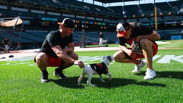 Puppies join Orioles players, broadcasters ahead of Tuesday’s game www.espn.com – TOP
