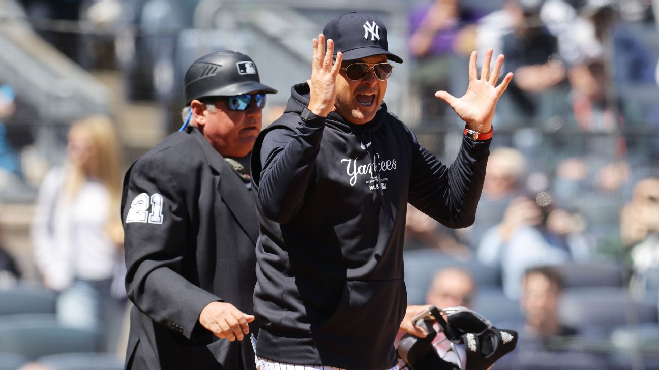 Yanks  Boone ejected  says fan berated umpire