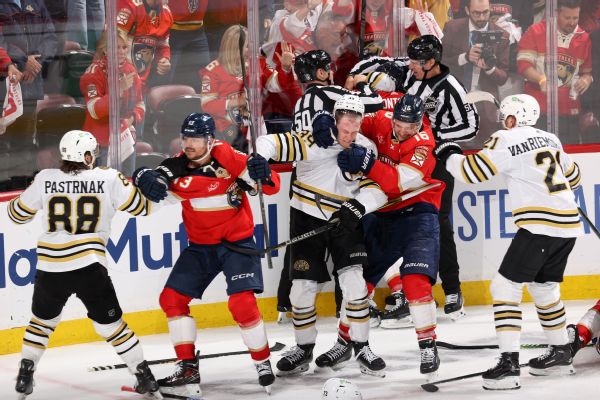 Bruins/Panthers fight [600x400] - Copy