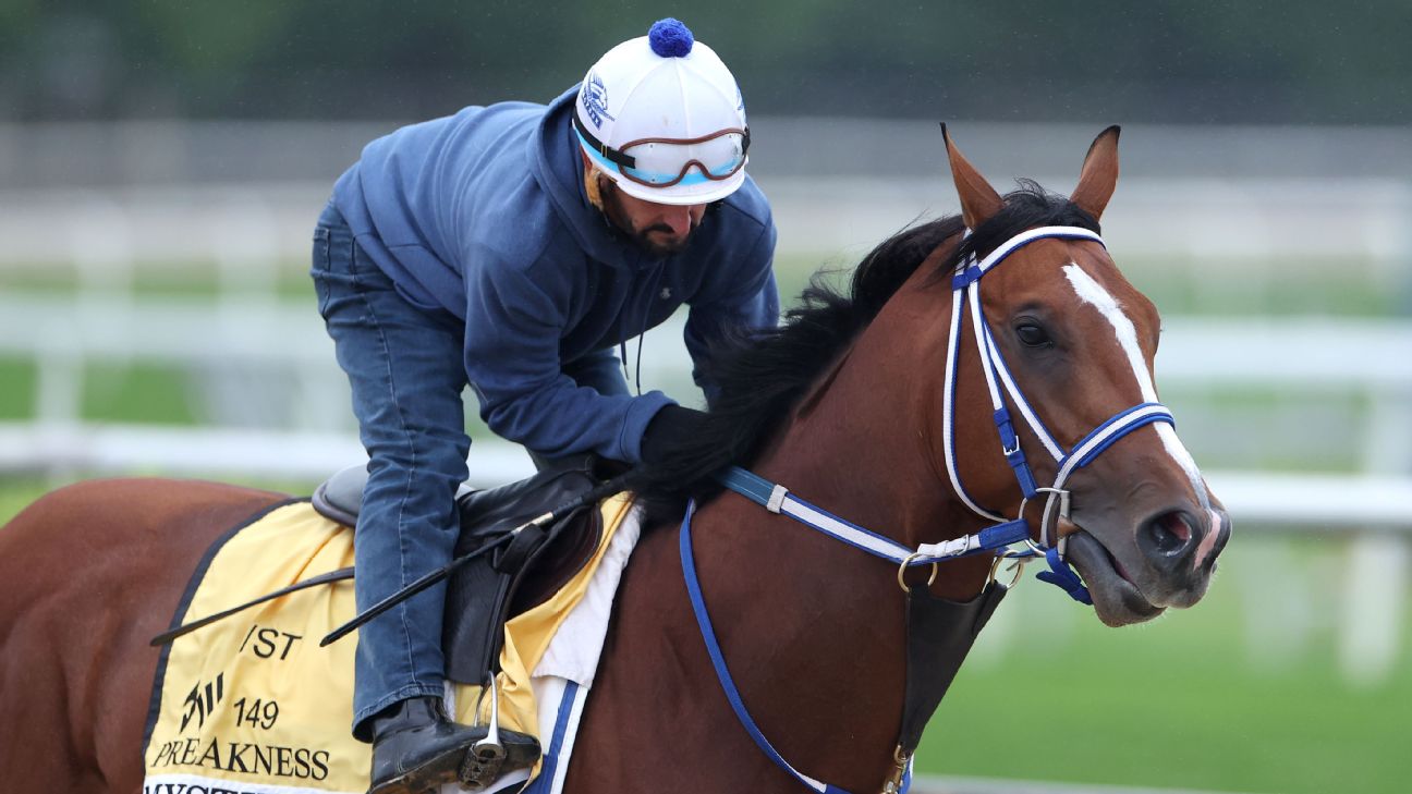Preakness Stakes 2024  Breaking down the contenders and favorites