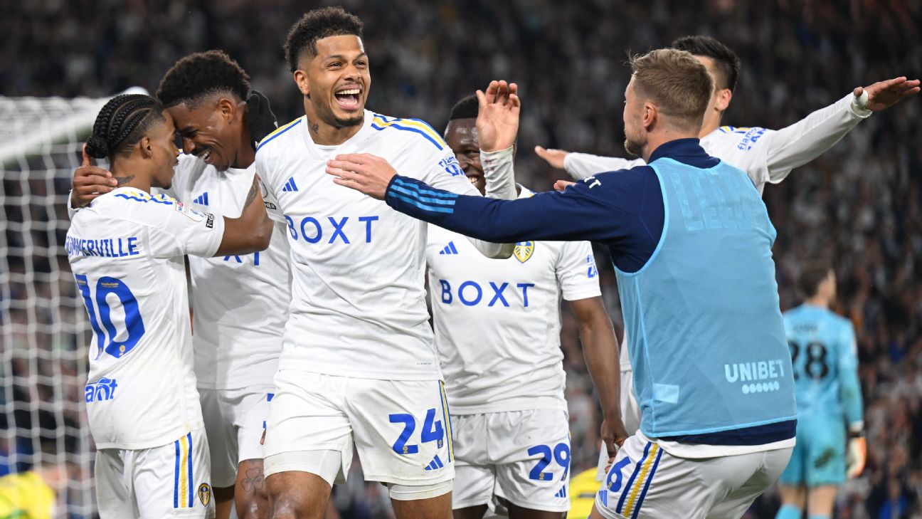 Leeds reach playoff final  one step from PL return