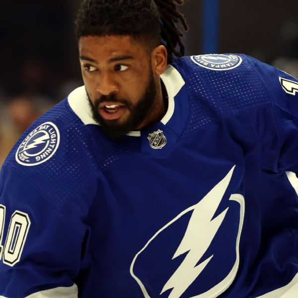 Isles dip into free agency waters  sign Duclair