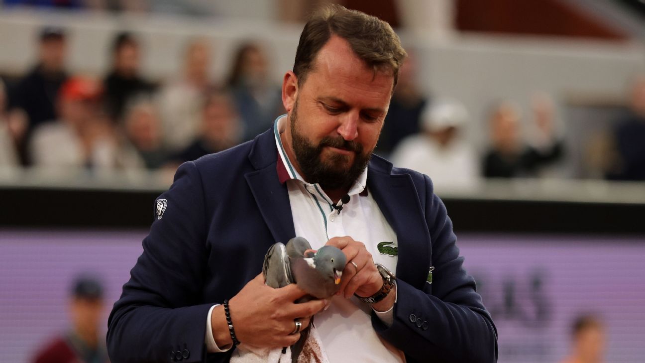 Hawk-Eye  Chair ump saves bird at French Open
