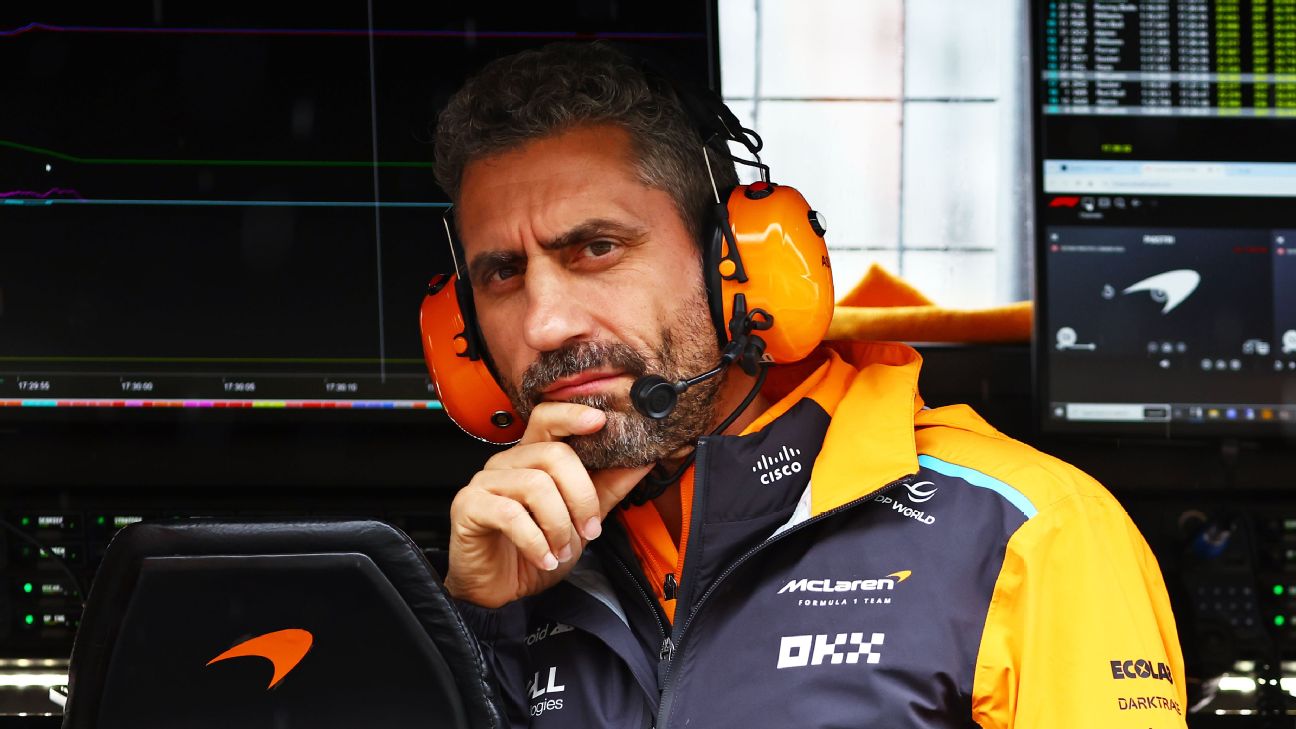 McLaren's team principal Andrea Stella says Max Verstappen's driving goes  unpunished - ESPN